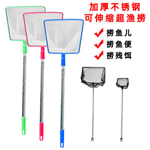 养鱼用品及水族箱价格全解析