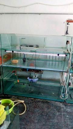 太原鱼缸低价转让 1.5米长1米宽，宠物爱好者的不容错过之选