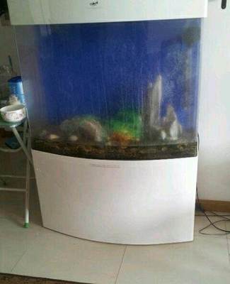 八成新热带鱼鱼缸转让，含配套小工具，适合新手入门