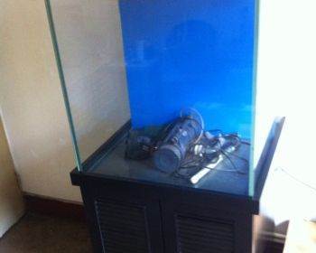 探索海水缸之美 天津600mm×600mm海水鱼缸选购指南