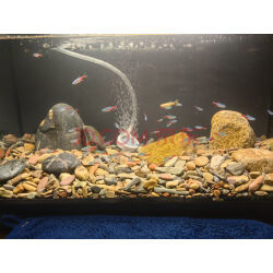 松宝鱼缸增氧泵 选择与使用指南